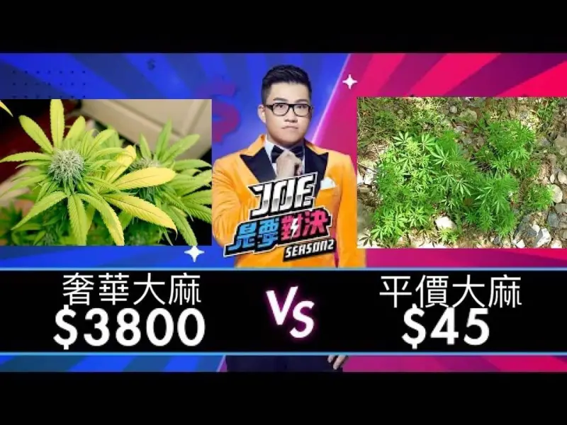 最危險的藥物是什麼?為何酒精是合法的,而大麻不是